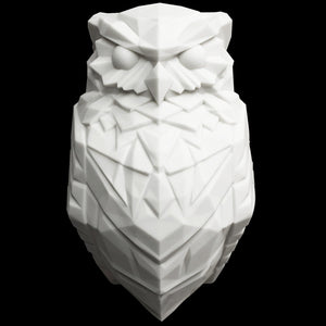 Illuminate Your Space with the Owl Eagle Night Light