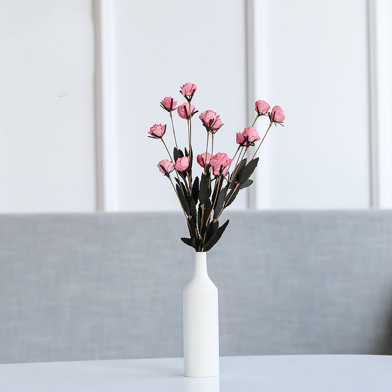 Creative Ceramic Hydroponic Vase For Home Decorative Ornaments