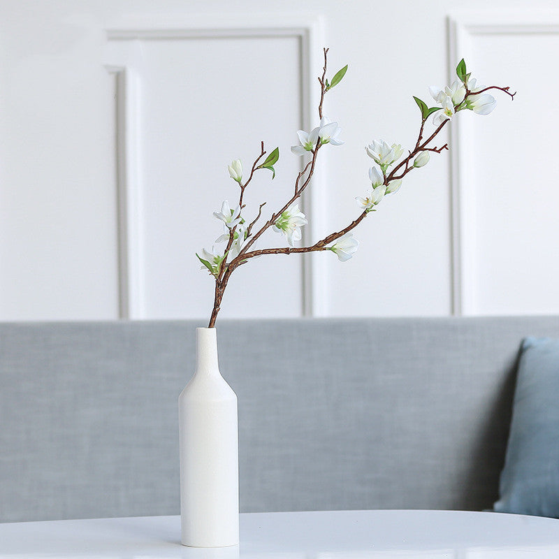 Creative Ceramic Hydroponic Vase For Home Decorative Ornaments