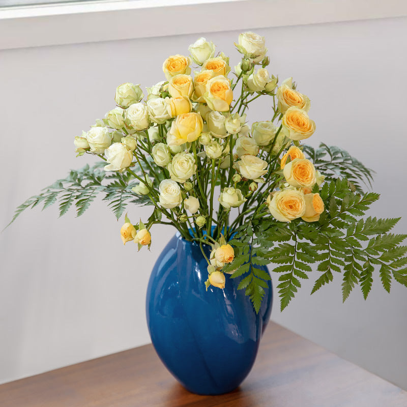 Hydroponic Glass Vase Stylish Decorative Piece