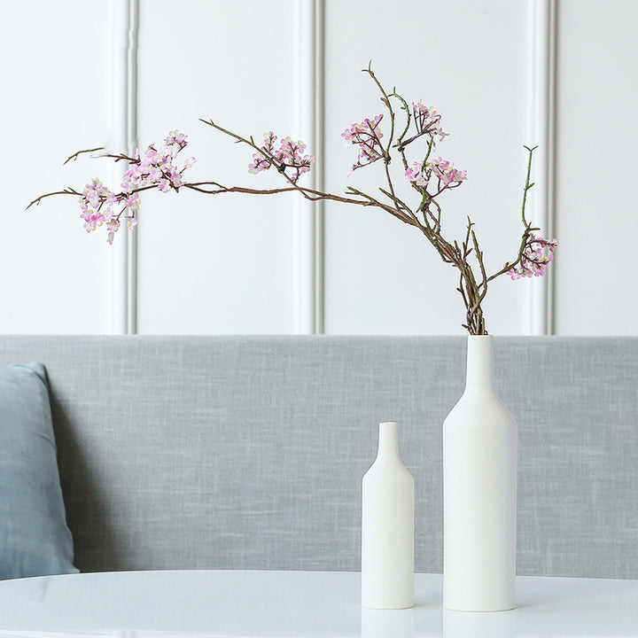 Creative Ceramic Hydroponic Vase For Home Decorative Ornaments